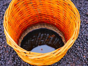 陶缸发酵酱油：古法工艺里的时光风味